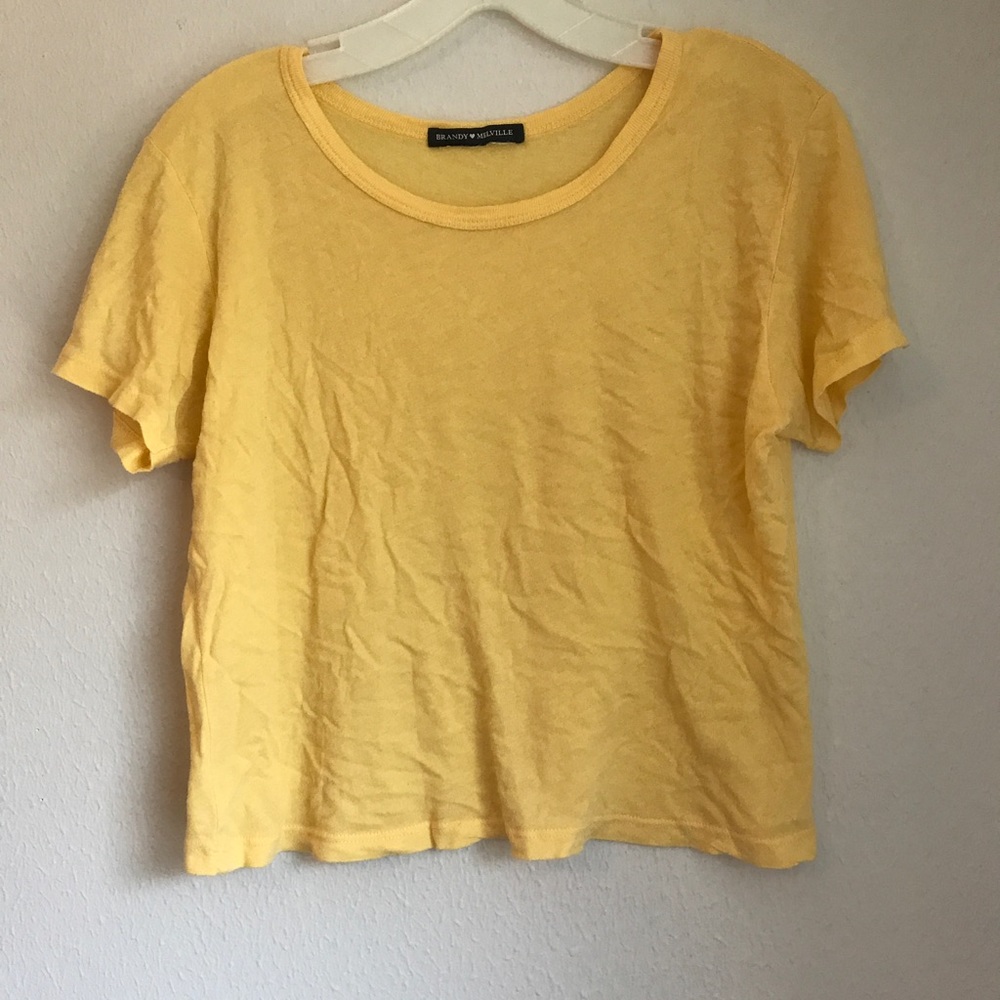 Brandy Melville Crop T-Shirt